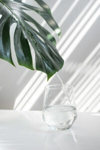Daily Benefits of Mineral-Rich Water with Matjiesfontein Water